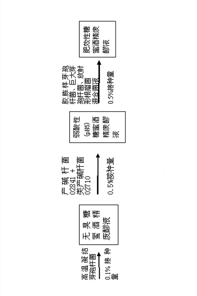 Method for preparing fertilizer effect type molasses alcohol waste mash bacterial liquid through triple fermentation