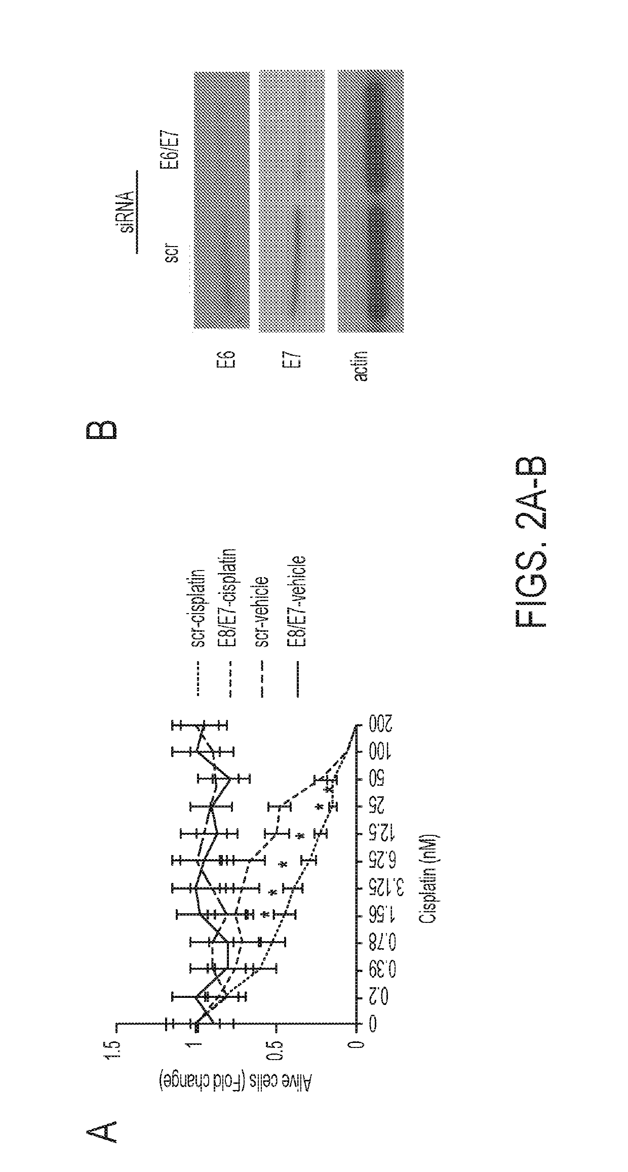 Polypeptides for improved response to Anti-cancer therapy