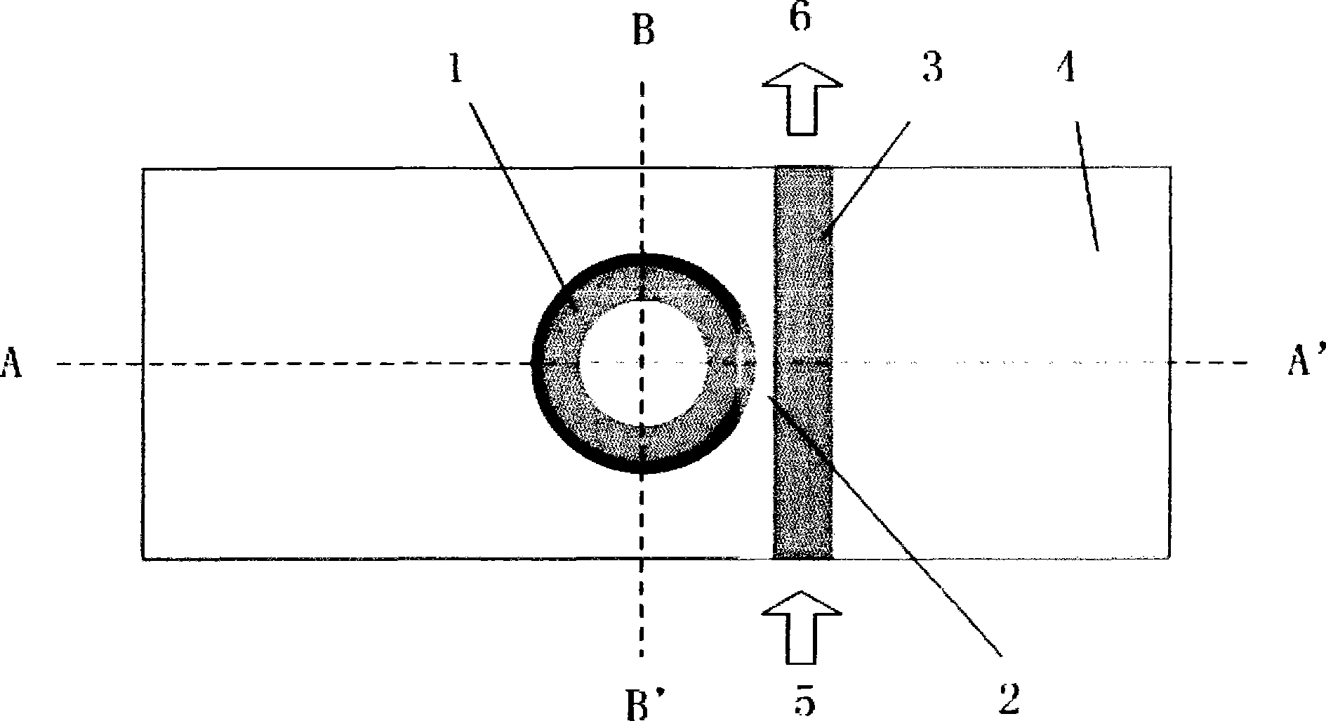 Optical waveguide immunosensor and detection method thereof