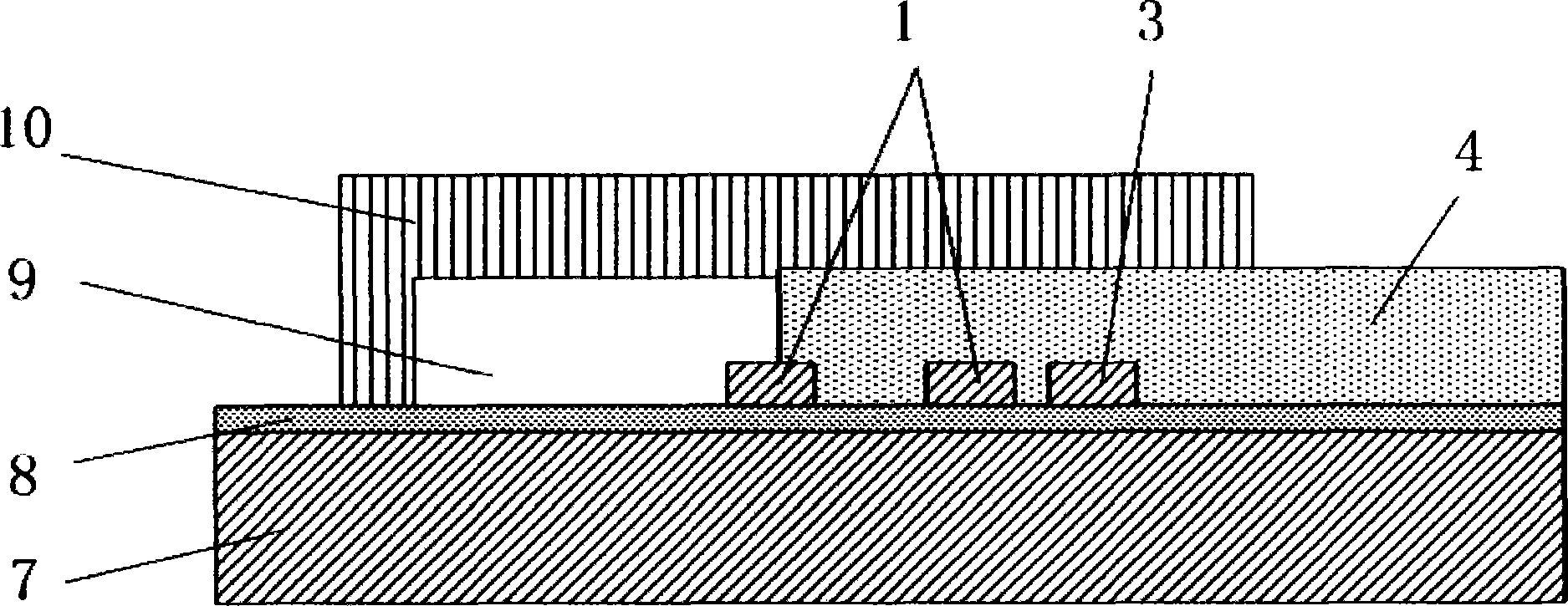 Optical waveguide immunosensor and detection method thereof