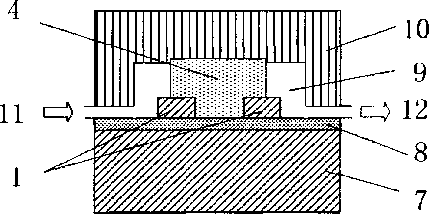 Optical waveguide immunosensor and detection method thereof