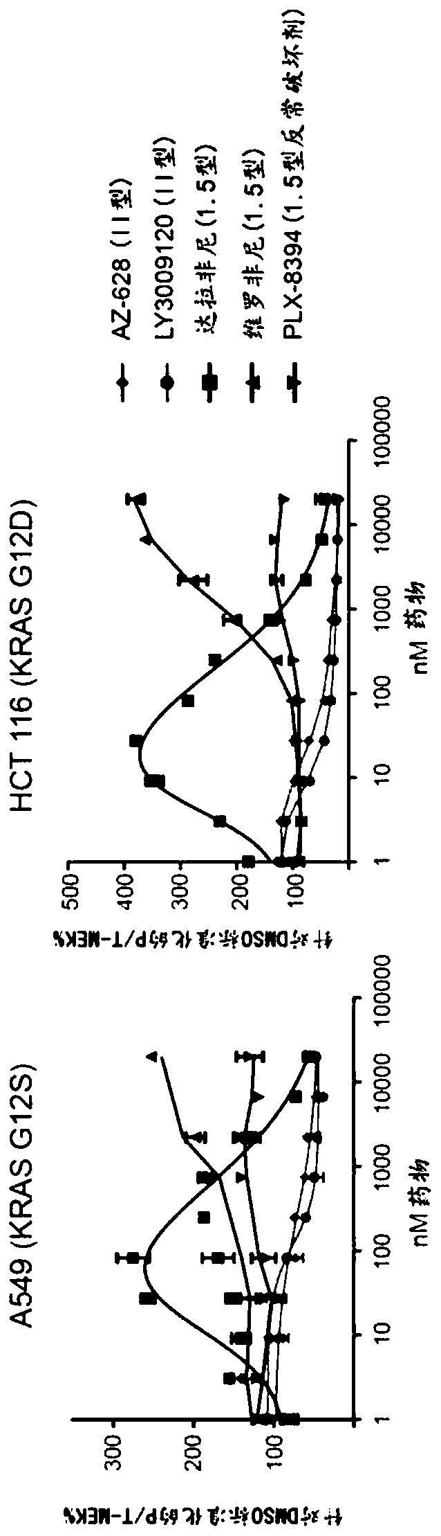 Diagnostic and therapeutic methods for cancer