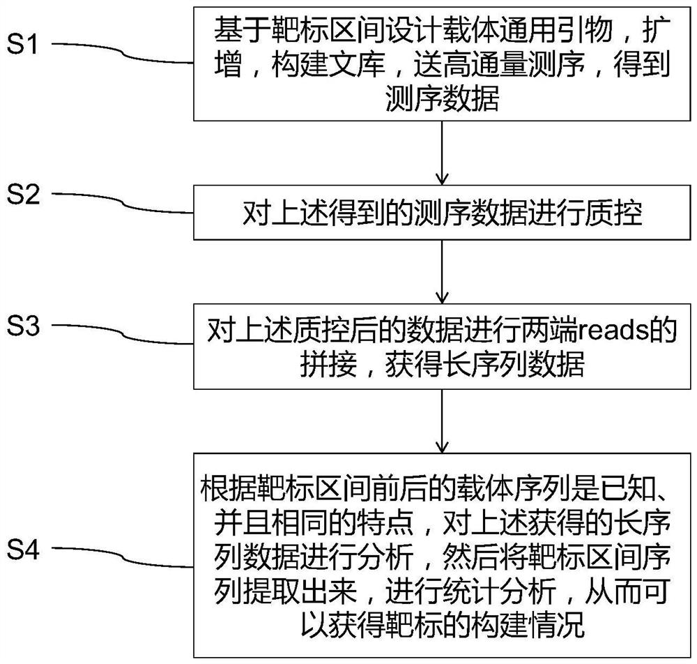 Method for rapidly analyzing construction condition of CRISPR/Cas9 gene editing vector and application