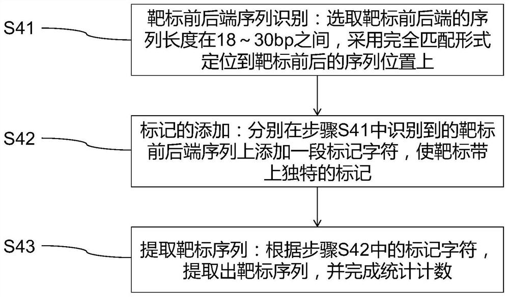 Method for rapidly analyzing construction condition of CRISPR/Cas9 gene editing vector and application