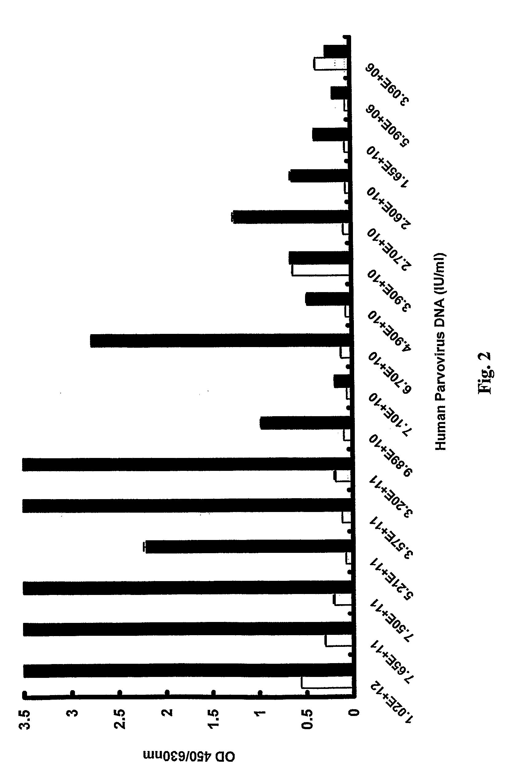 Method for detecting human parvovirus antigen