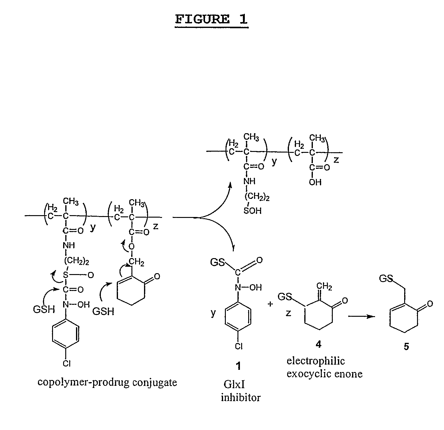 Macromolecular Gsh-Activiated Glyoxylase I Inhibitors