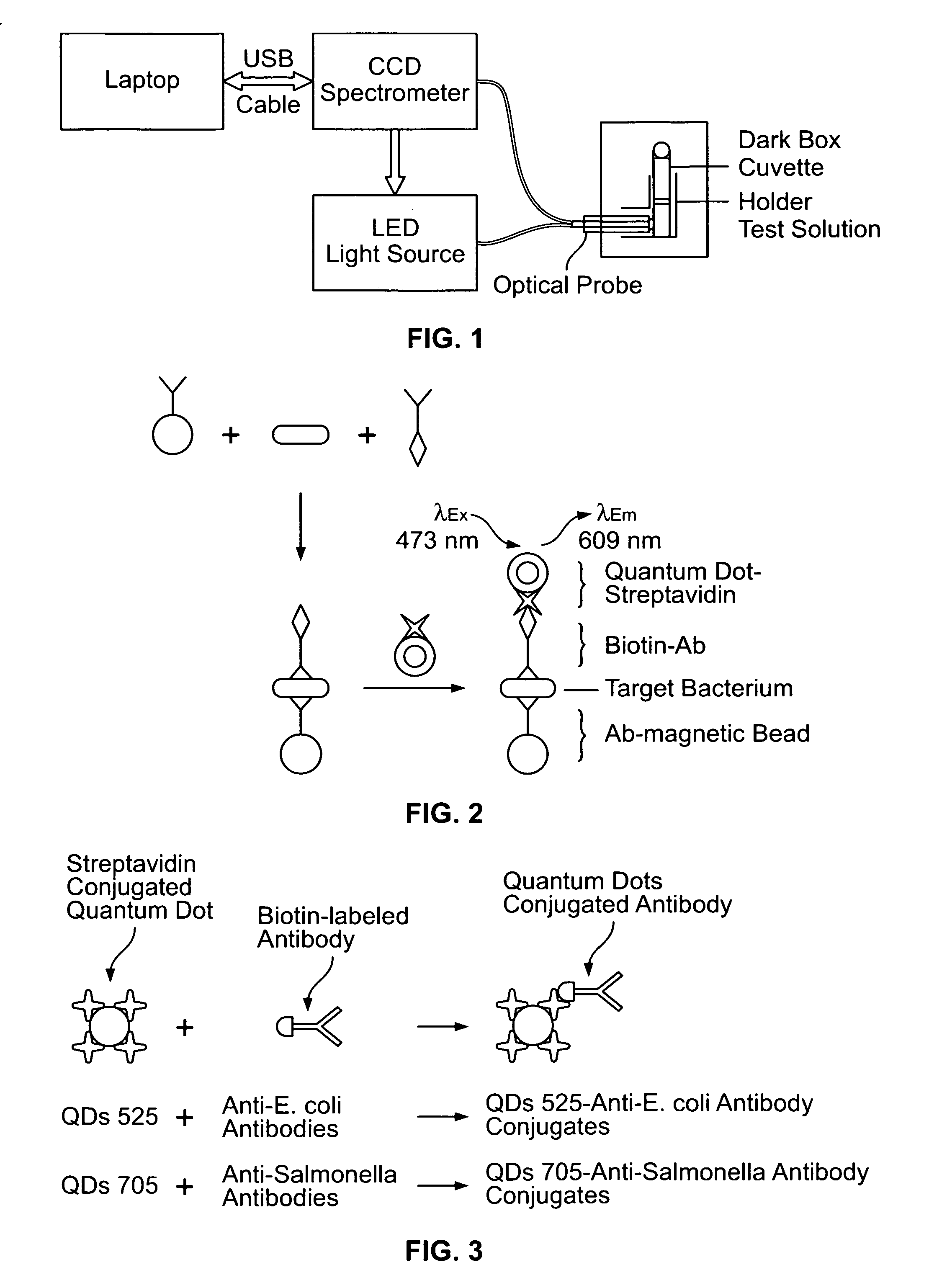 Quantum dot biolabeling and immunomagnetic separation for detection of contaminants