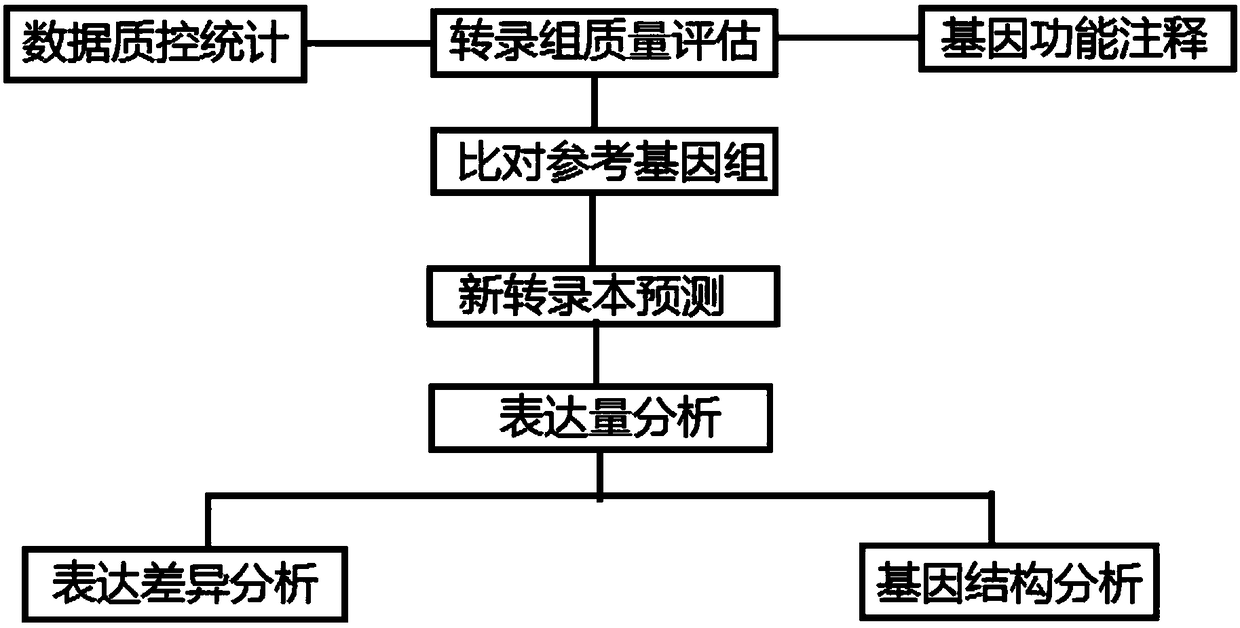 Interactive analysis system and method for transcriptome project with reference genome based on cloud computing platform