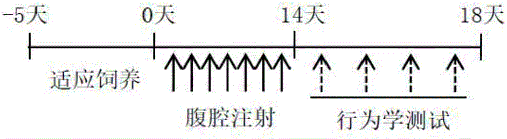 Application of arctigenin to preparation of anti-depression product