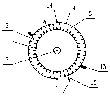 Green walnut shelling machine