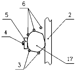 Green walnut shelling machine