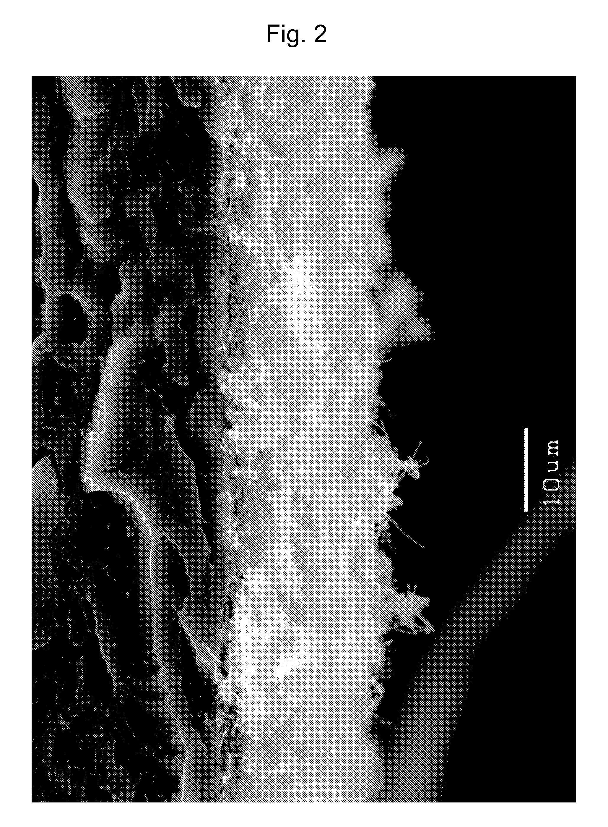 Gas diffusion electrode, membrane-electrolyte assembly, polymer electrolyte fuel cell, and methods for producing these