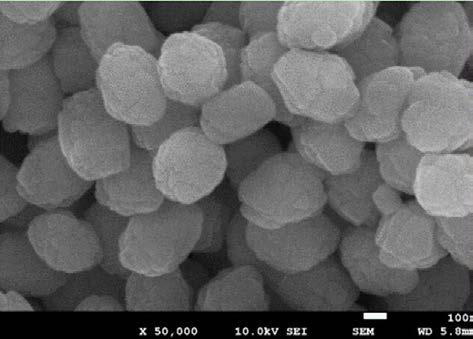 A kind of synthetic method of ts-1 titanium silicon molecular sieve