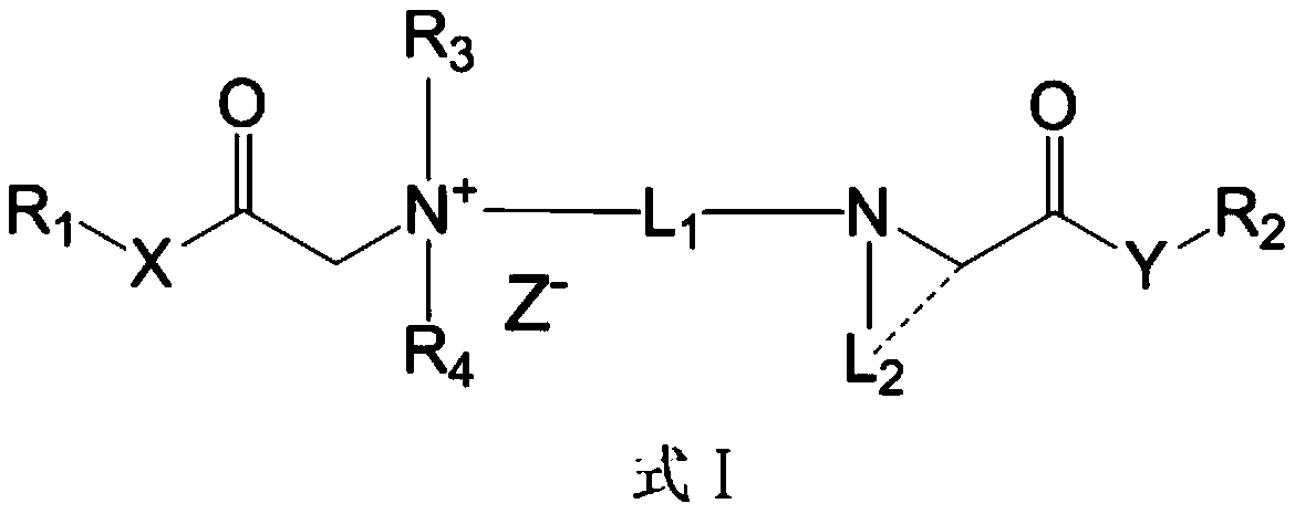 Cationic compound and preparation method and application thereof