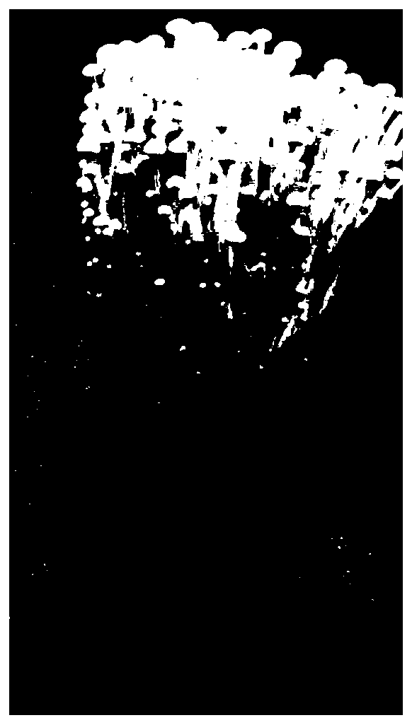 Formula of cultivation material for industrial production of flammulina velutipes and production method