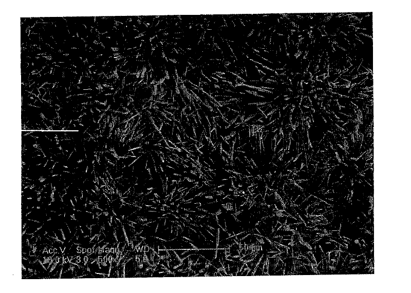 A kind of ternary oxide nanomaterial and nanostructure and preparation method thereof