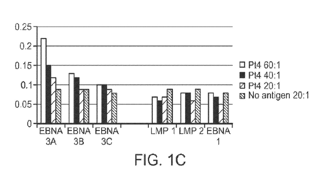 Modulated immunodominance therapy