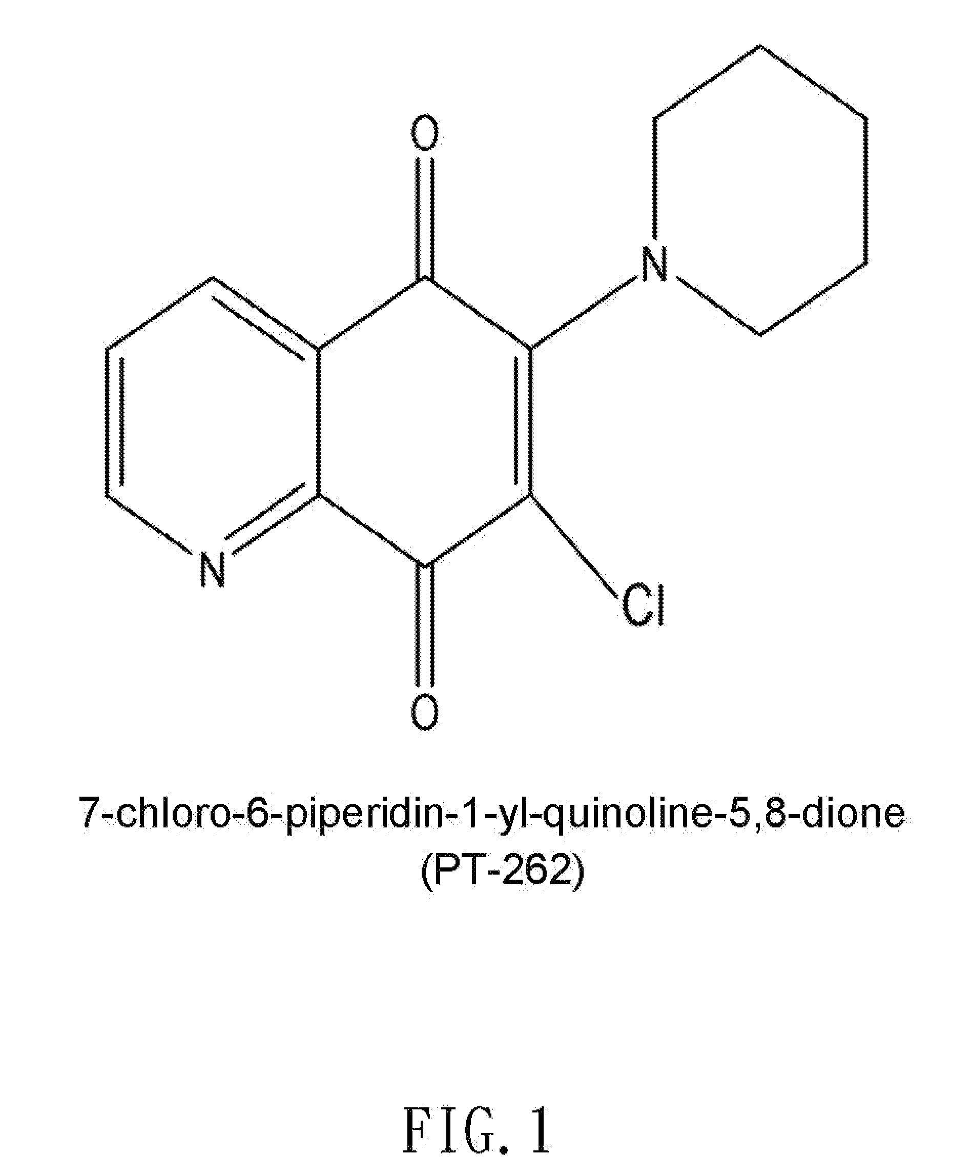 Use of a Compound in Obtaining Cytoskeleton Blockage and Cell Elongation