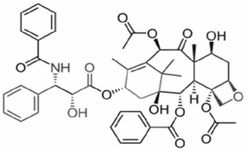 Excipient-free lyophilized paclitaxel powder preparation and preparation method thereof