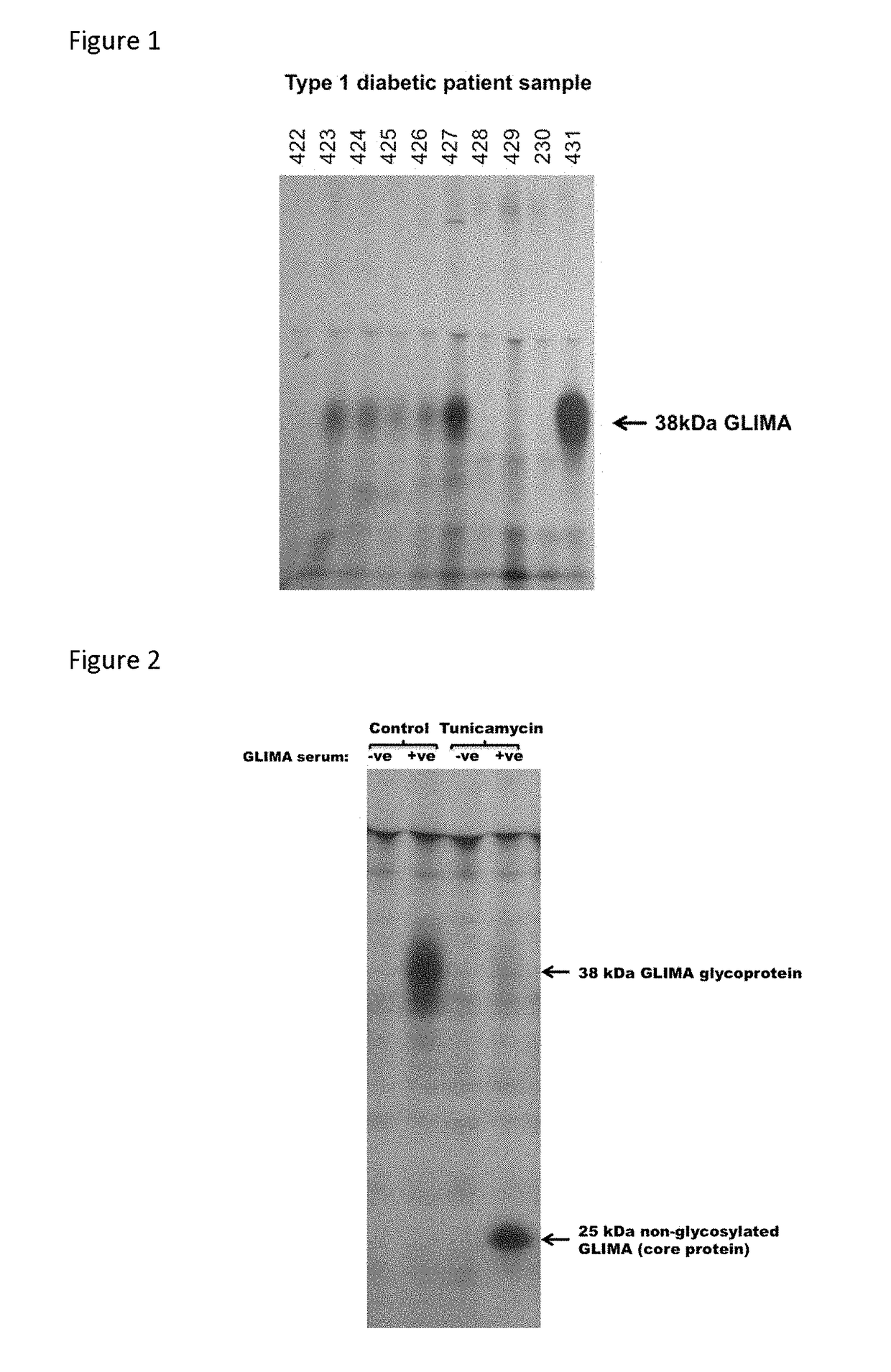 Diagnostic target