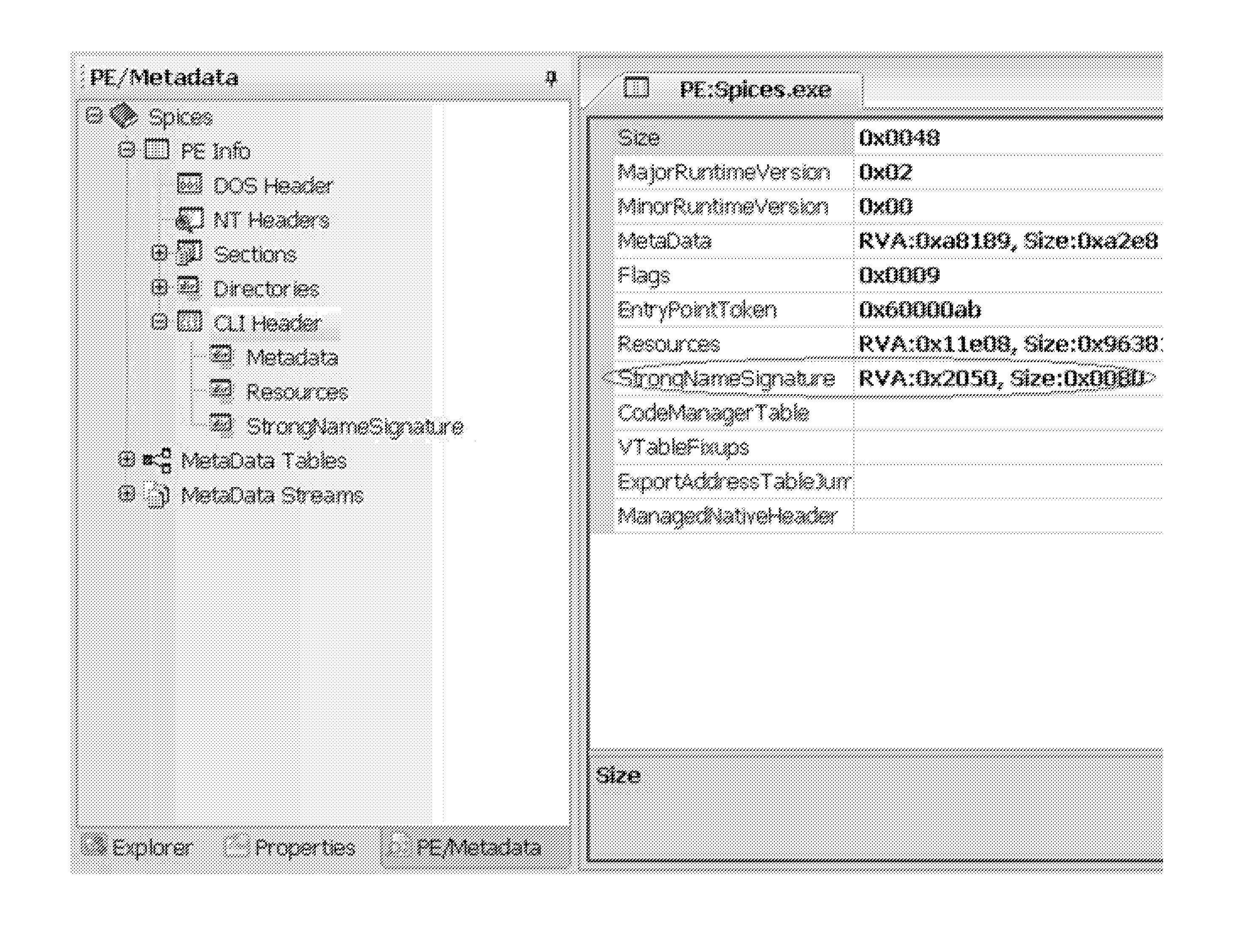 System and method for tamper-proofing executable binary assemblies