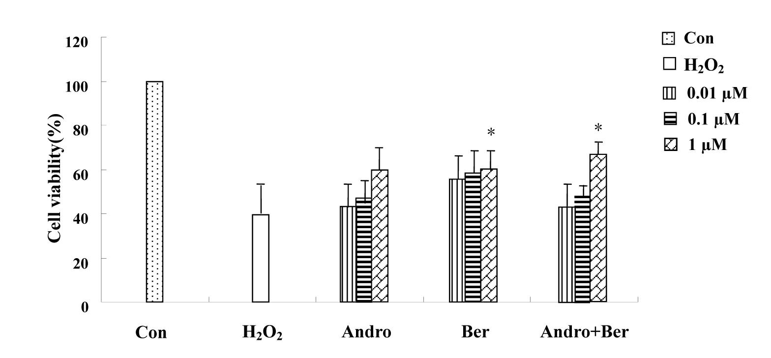 Andrographolide and berberine combination and application thereof