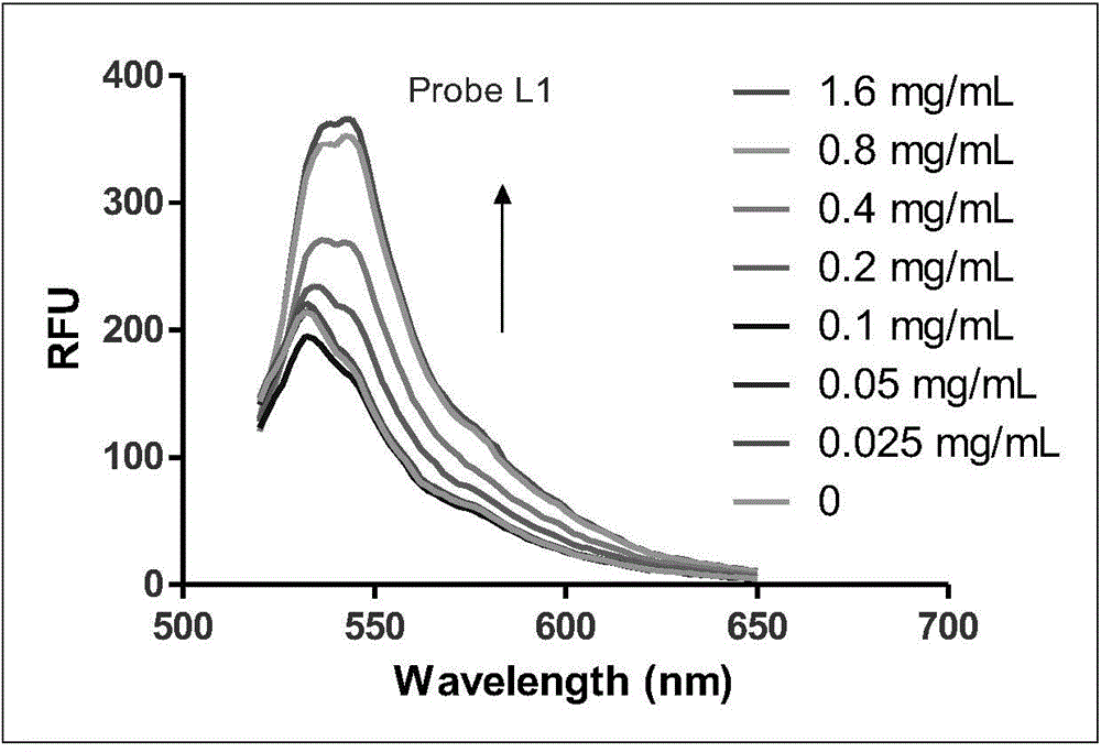 Micro-molecule fluorescent probe of phenyl furan hERG potassium channel and application thereof