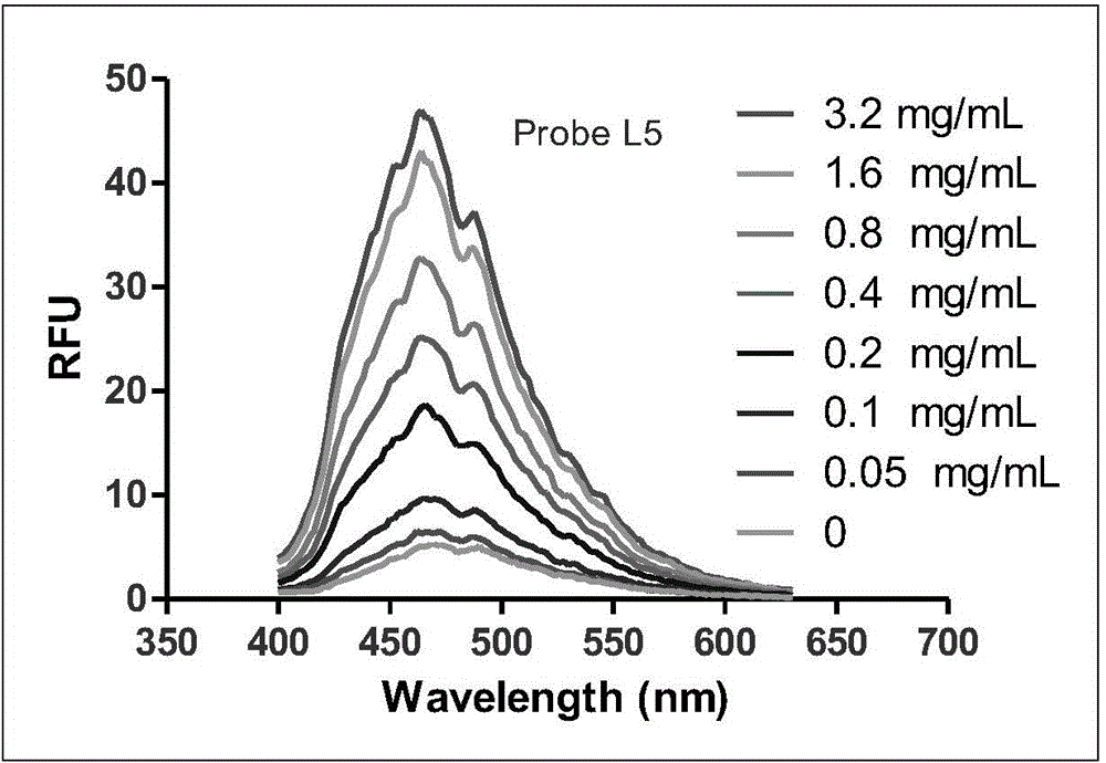 Micro-molecule fluorescent probe of phenyl furan hERG potassium channel and application thereof