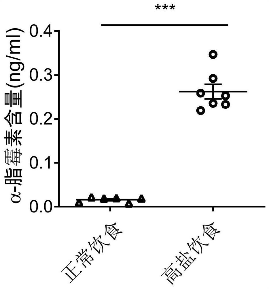 Application of alpha-lipomycin as marker for detecting and diagnosing hypertension to prepare corresponding detection tool