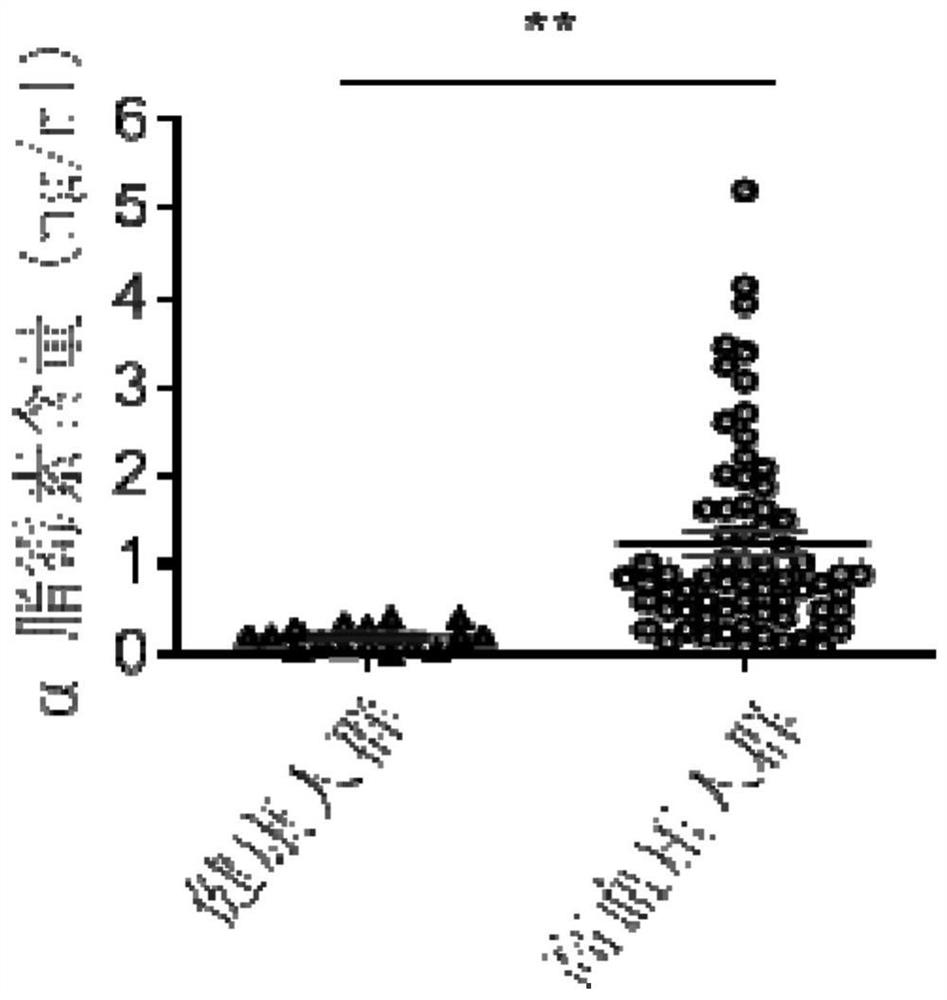 Application of alpha-lipomycin as marker for detecting and diagnosing hypertension to prepare corresponding detection tool