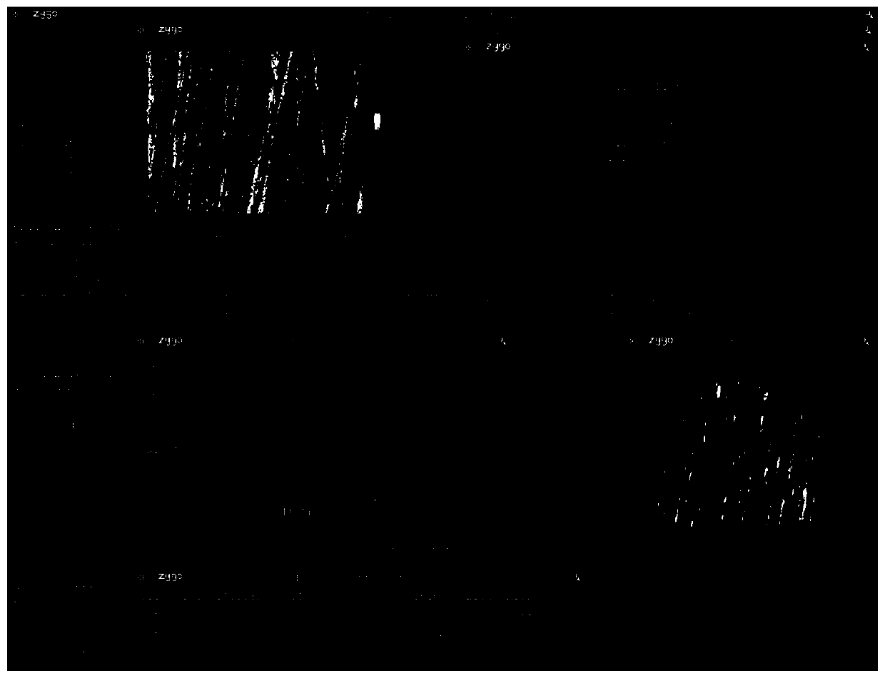 Titanium alloy fatigue life prediction method based on microscopic scratches