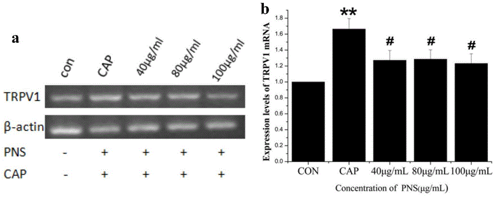 New application of ginsenoside Rf