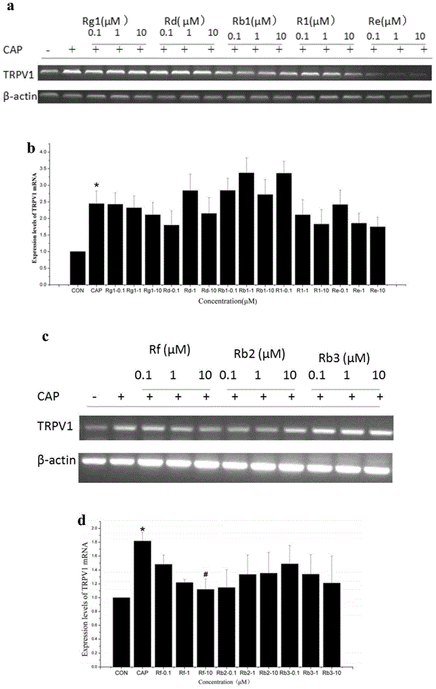 New application of ginsenoside Rf