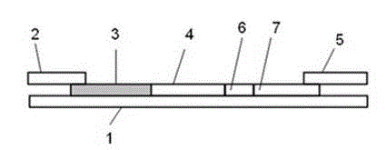 Fluorescence immunoassay quantitative detection kit of microalbuminuria, and preparation method thereof