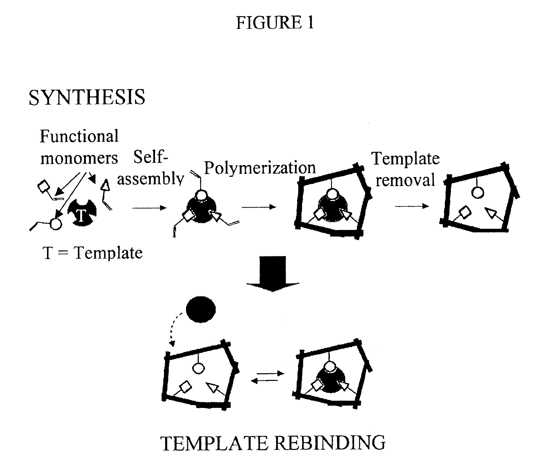 Molecularly Imprinted Polymers Selective for Tobacco Specific Nitrosamines and Methods of Using the Same