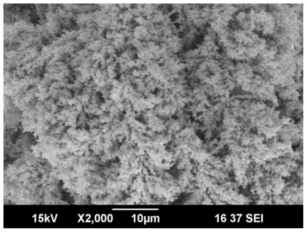 Method for detection of antigen content in samples based on immunohistochemical space electrochemistry