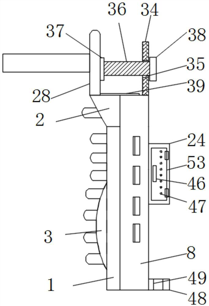 Protective device for orthopedic spine