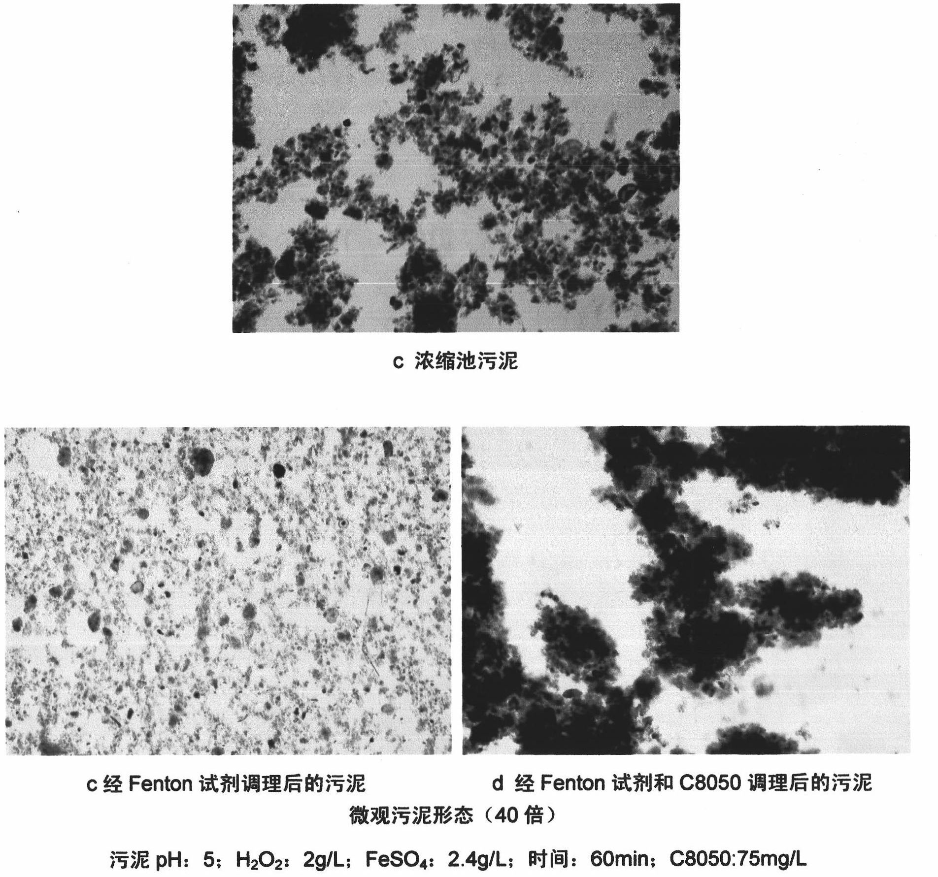 Technique for conditioning sludge by using synergic action of Fenton reagent and polyacrylamide