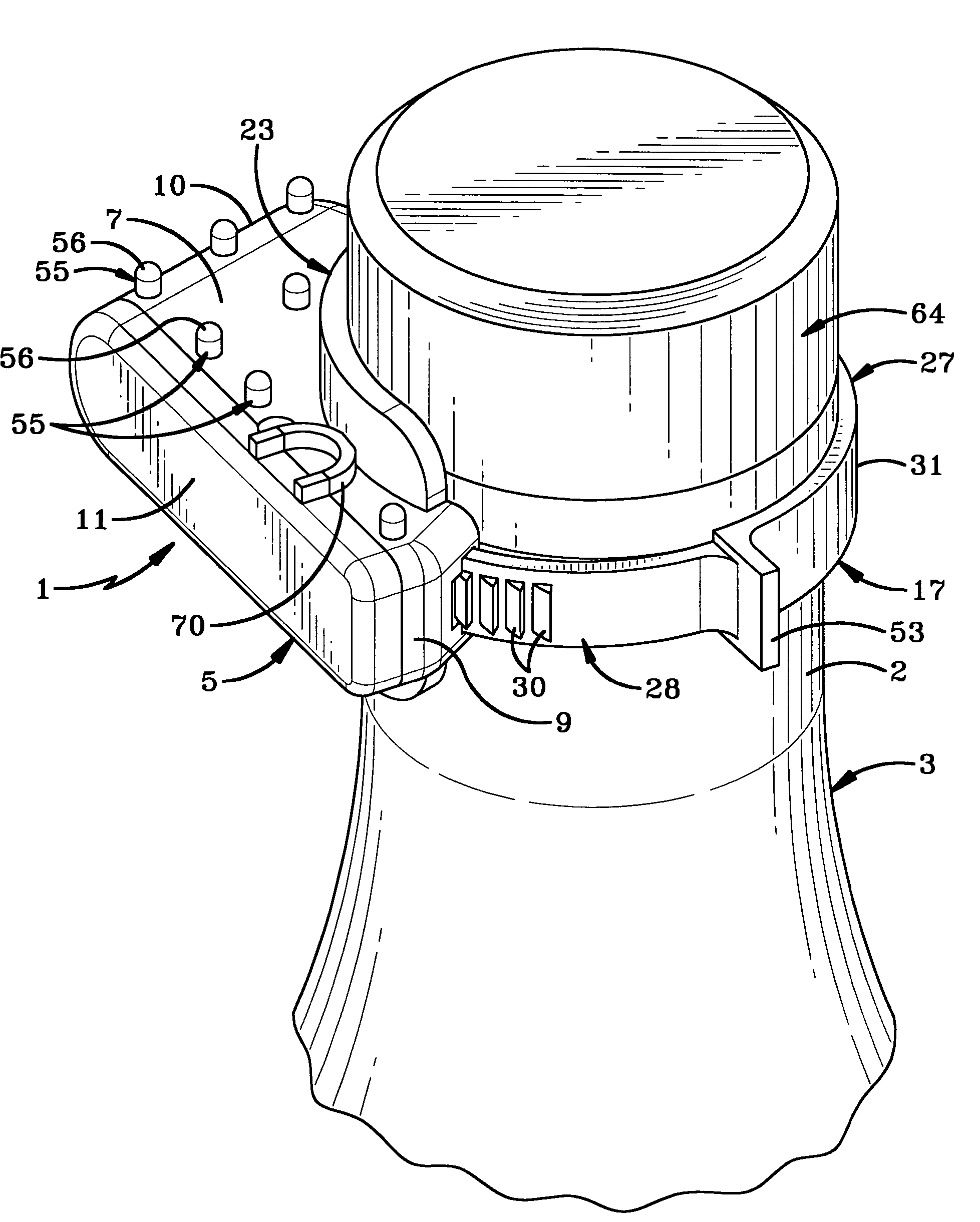 Bottle security device