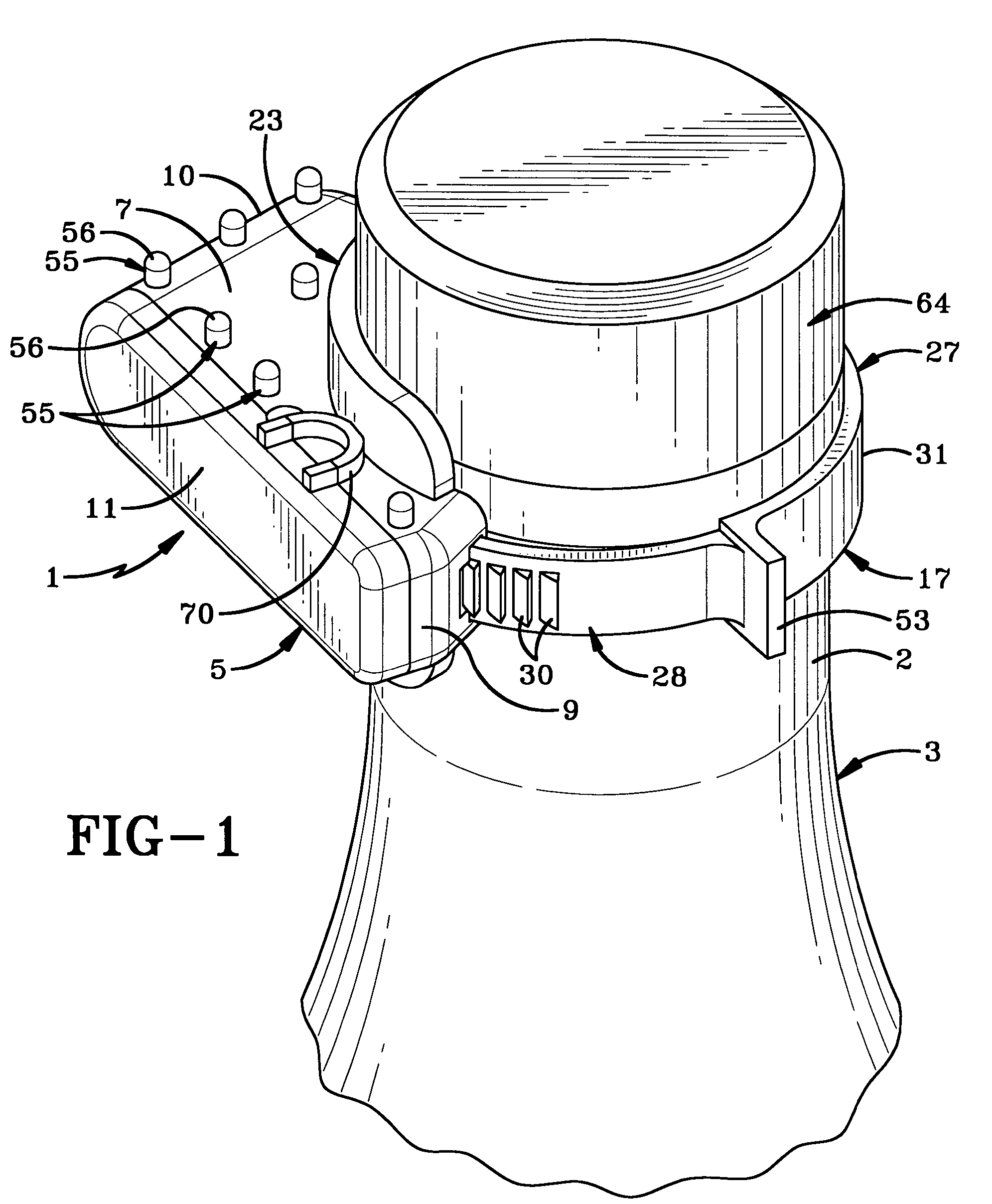 Bottle security device