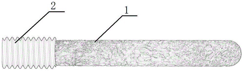 Preparation method of porous titanium-alloy femoral head support rod in bionic bone trabecula structure