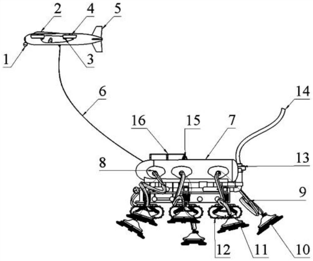 Cluster type submarine mining collector based on eddy hydrodynamic characteristic