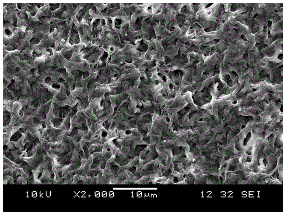 Scaffold containing platelets and hyaluronic acid and preparation method of scaffold