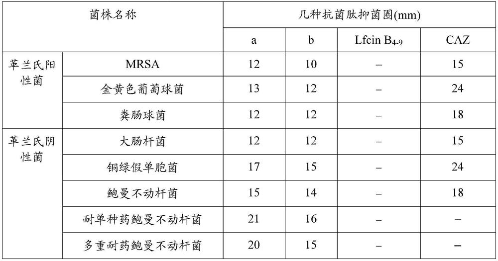 Antibacterial hexapeptides and their derivatives and applications