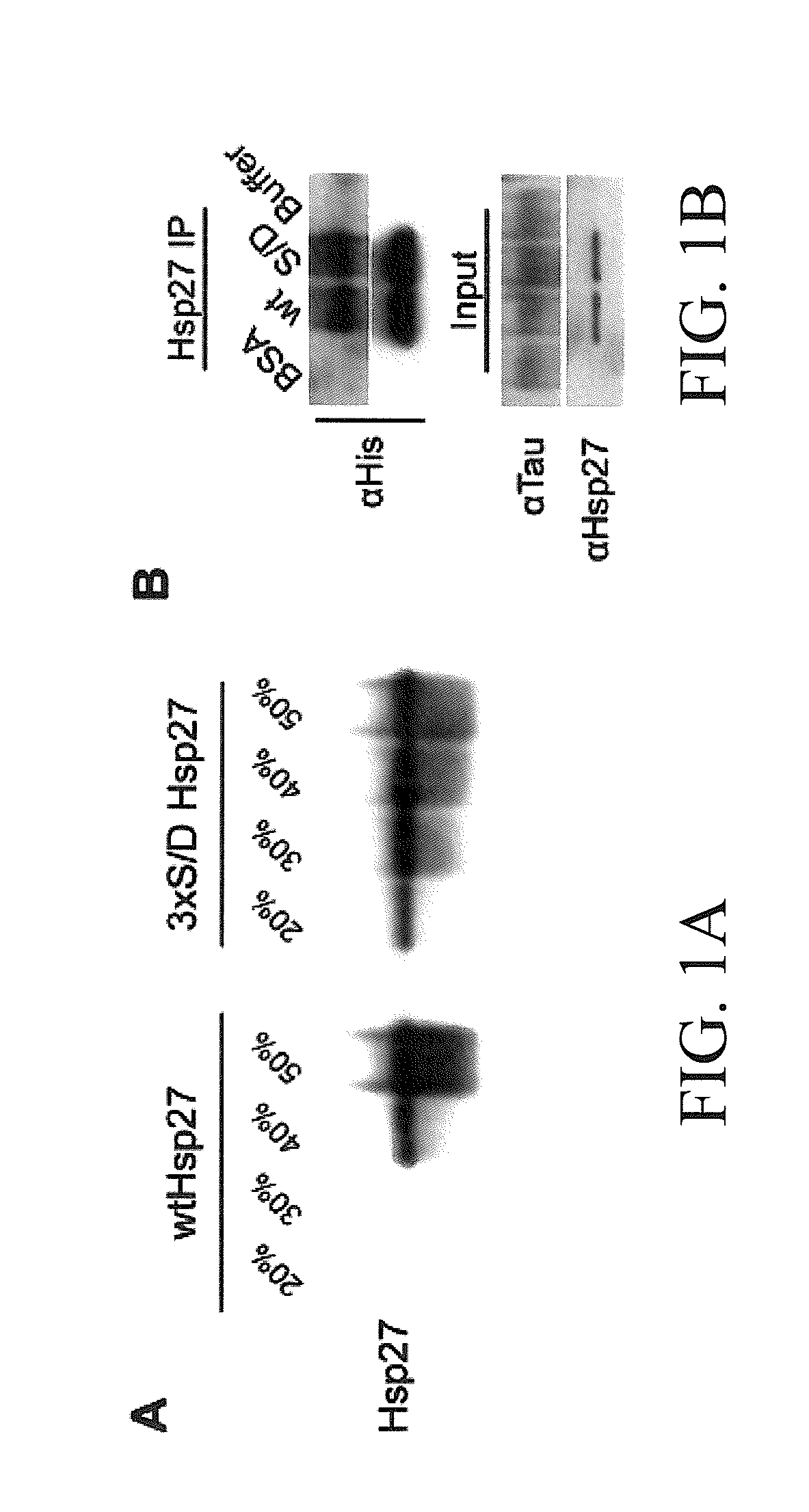 Materials and methods for treating neurodegenerative diseases