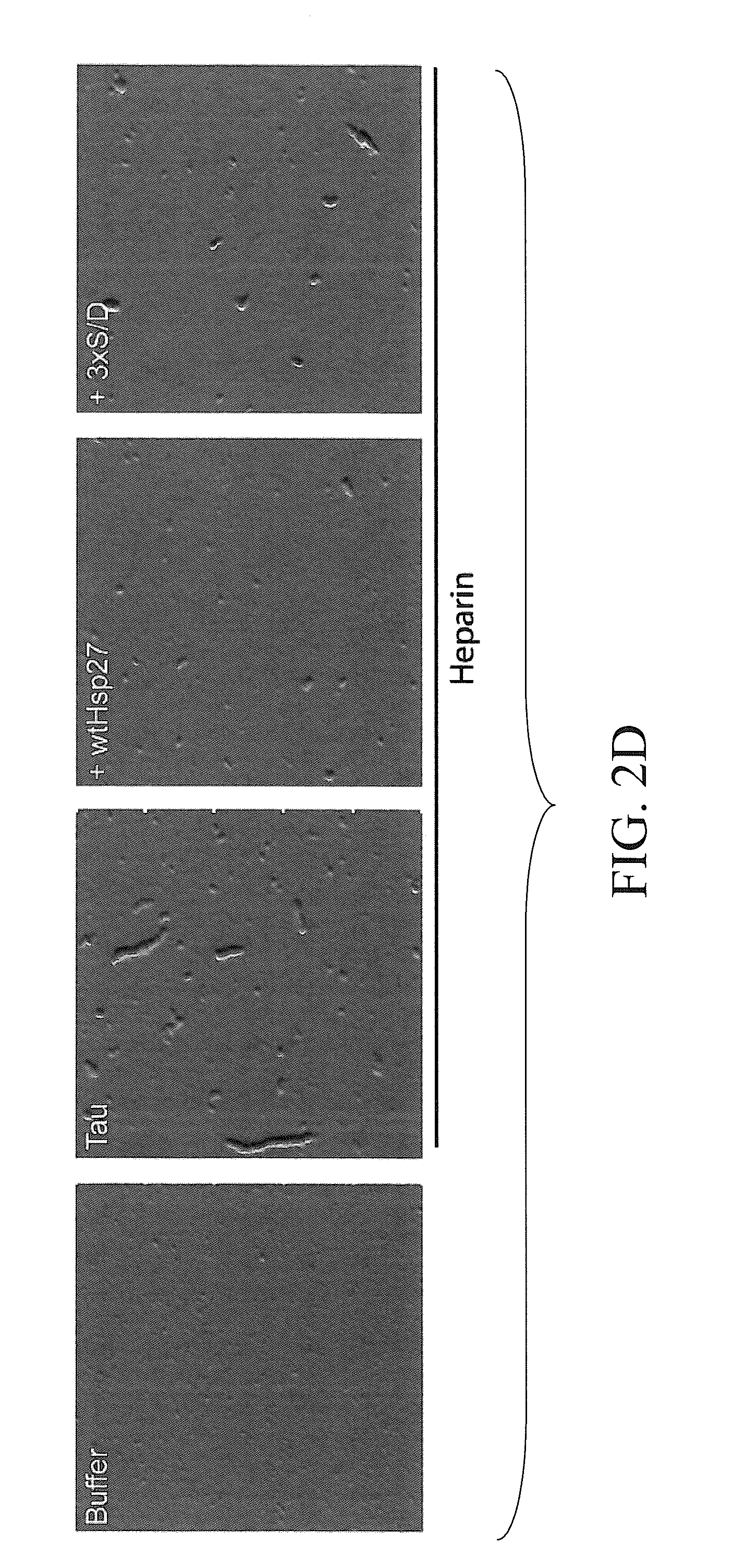 Materials and methods for treating neurodegenerative diseases