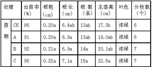 Activated humic acid biological bacterial fertilizer and preparation method thereof