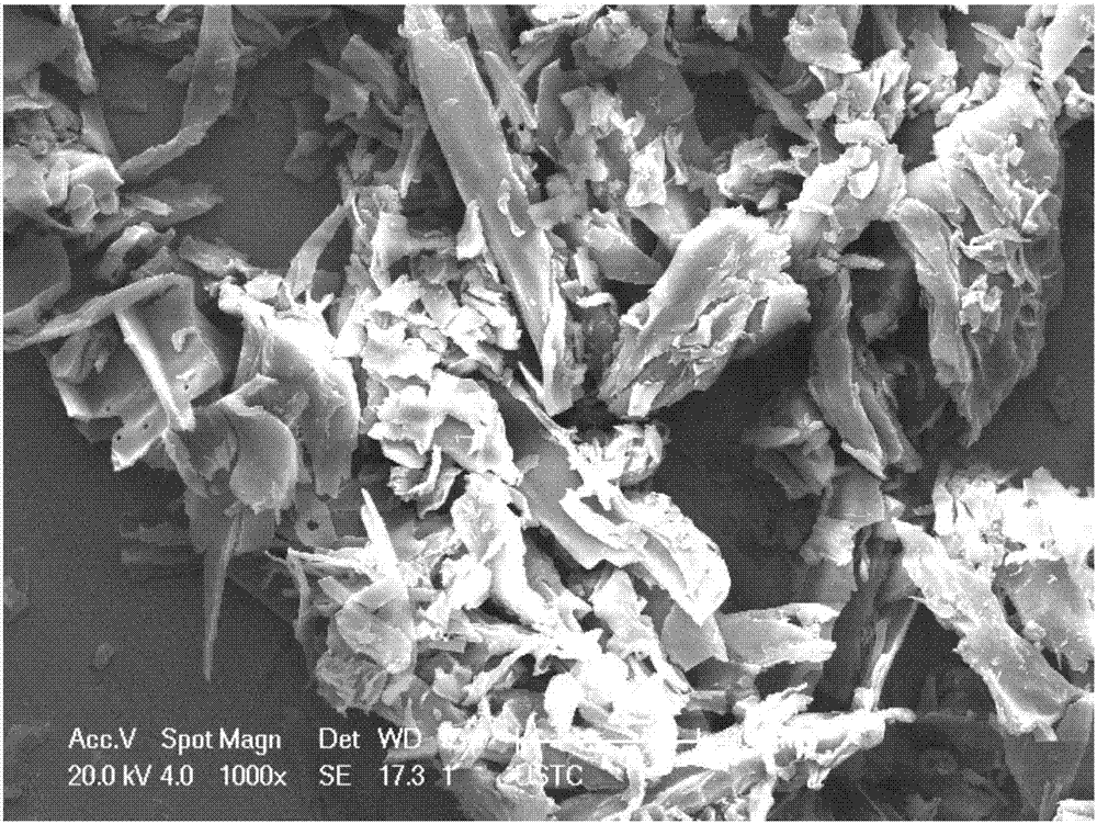 Method for performing degradation on pollutant-nitrobenzene-containing water body by using anaerobic mixed bacteria