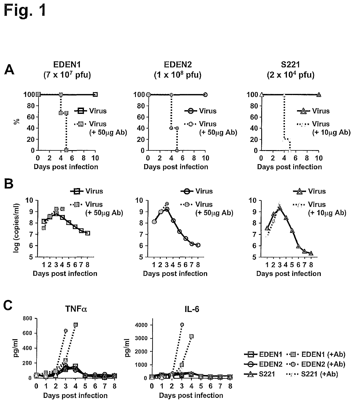 Dosing regimens of celgosivir for the prevention of dengue