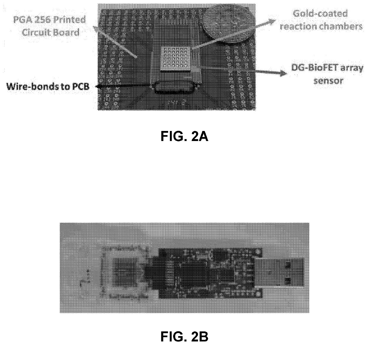 Biomarker Detection From Fluid Samples